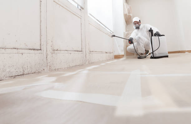 24/7 Emergency Black Mold Remediation experts in Newton, NC